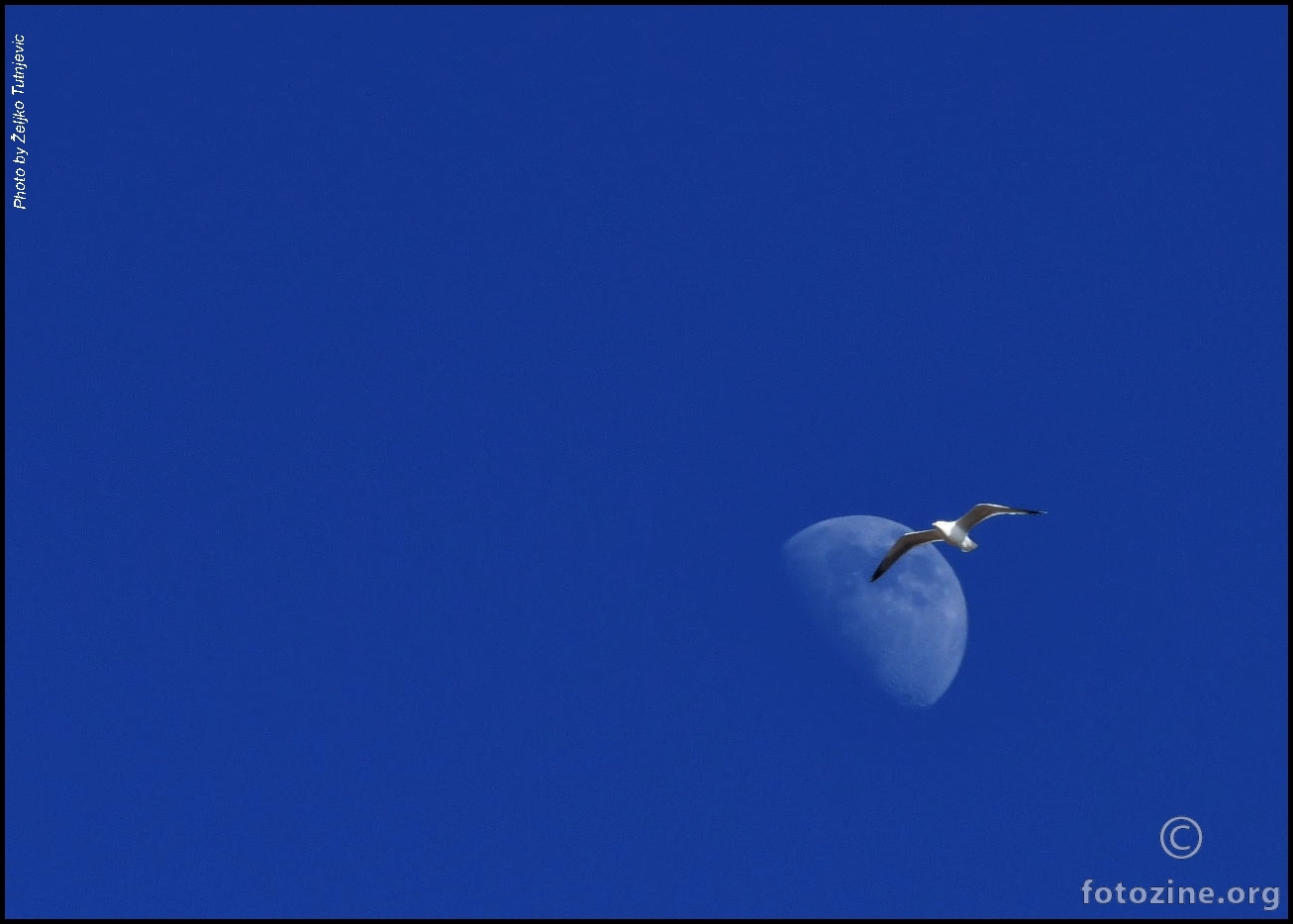 SLOBODNO LETITI, S MJESECOM SE DRUŽITI BY ŽT