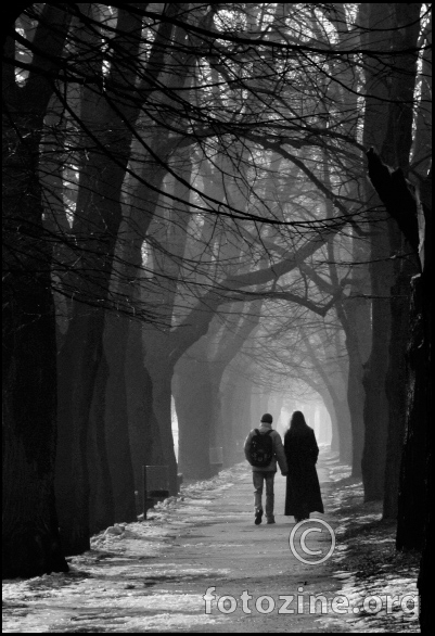 walking through the grayscale