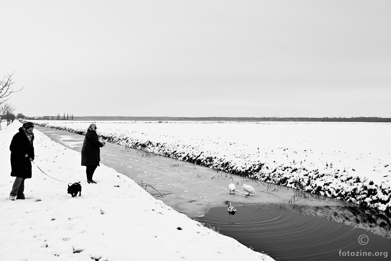 Il´ je snijeg, il´ su labudovi