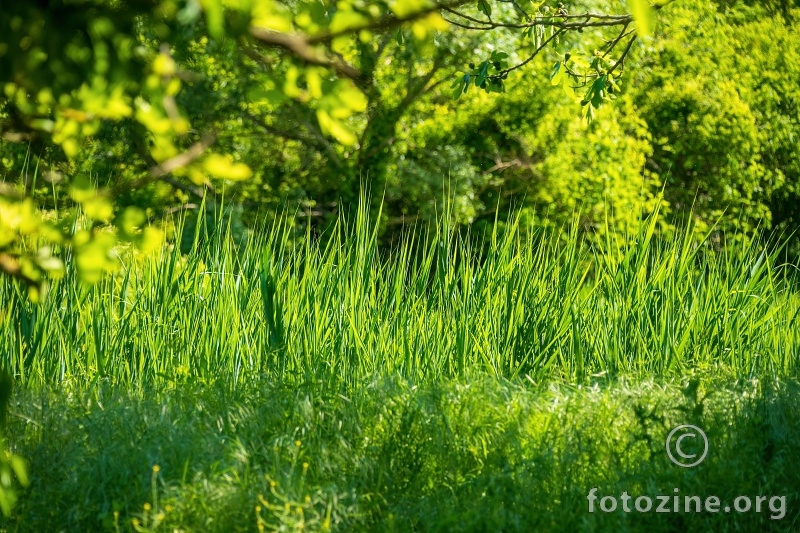 Loading green