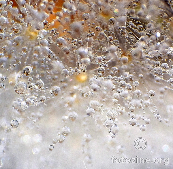 the world of droplets