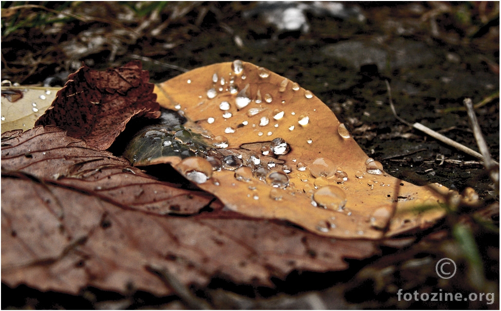ko bi gori sad je doli