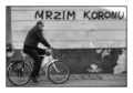 Mrzim koronu...