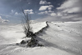 Planina