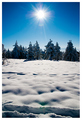 Winter sun