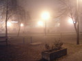 the park in th&hellip;