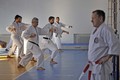 karate seminar