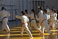 karate seminar