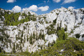 kukovi