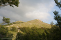 vrhić