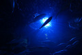 deep blue