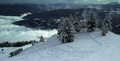 "kraljice&hellip;