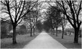 Pot spominov i&hellip;