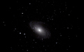 M 81