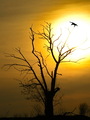 E.A.Poe  i dru…