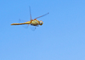 helikopter sa &hellip;