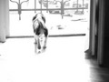 lukib&w