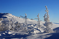 jahorina 2