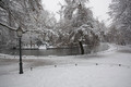 Maksimir