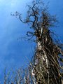 Reaching for s…