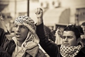 free palestine