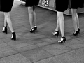 Zagreb City Ni…