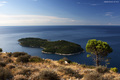 Lokrum
