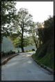 Provirilo (sun&hellip;