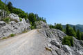Uzdužna velebi…