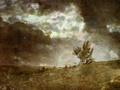 wasteland..