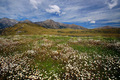 Torlesse Ranges