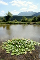 VrbiCa