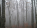 čekajući sunce&hellip;