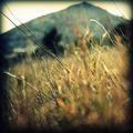 lying in the g&hellip;