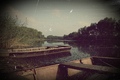 Old Drava