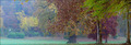 park