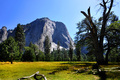 Yosemite