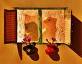 Ana i Roko....&hellip;