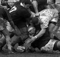 Rugby