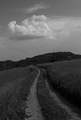 Lijepi vidici