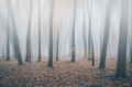 Prisutnost u o&hellip;
