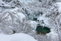 Zeleno oko