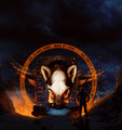 Nine-Tails...