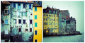 yello rovinj