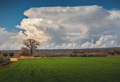 Cumulonimbus