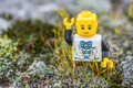 Lego micro wor…