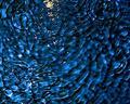 water of life